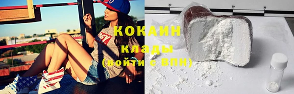 стаф Почеп