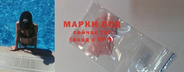 молекула духа Новозыбков