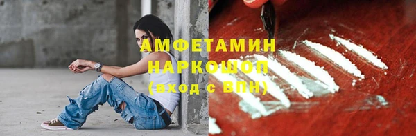 молекула духа Новозыбков