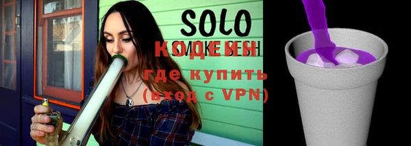 гашик Новодвинск