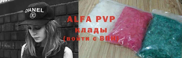 гашик Новодвинск