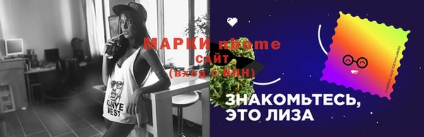 молекула духа Новозыбков