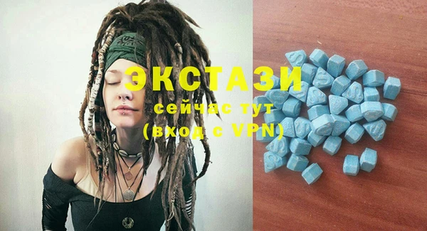 гашик Новодвинск