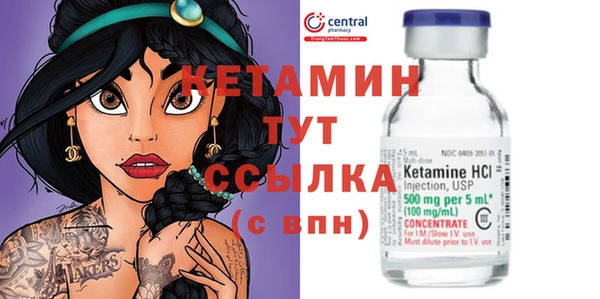 гашик Новодвинск