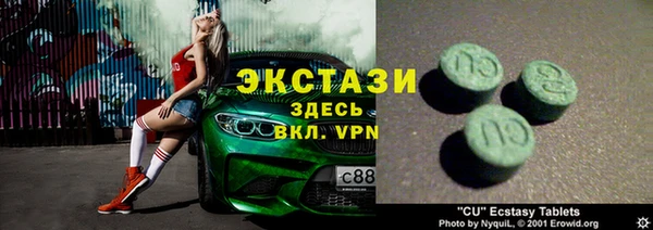 молекула духа Новозыбков