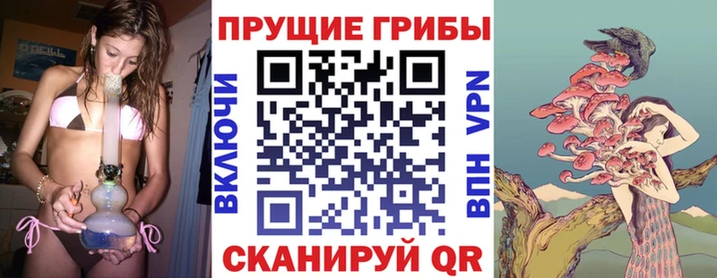Галлюциногенные грибы прущие грибы  купить закладку  Прохладный 