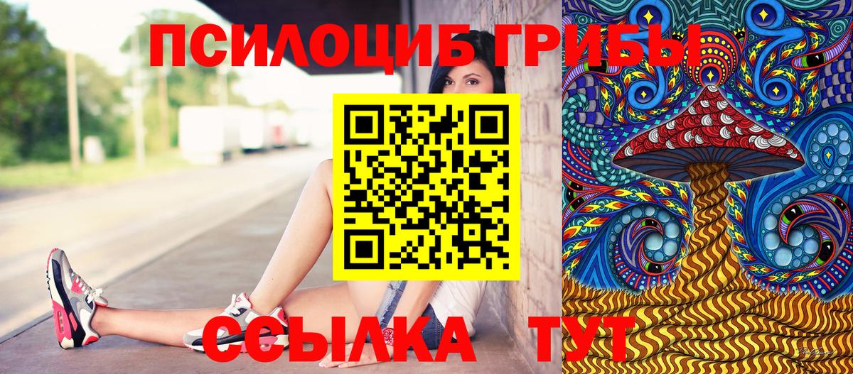 Галлюциногенные грибы прущие грибы Прохладный